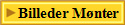 Billeder M�nter 