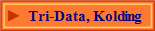 Tri-Data, Kolding
