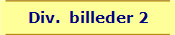 Div. billeder 2