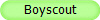 Boyscout 