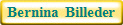 Bernina Billeder