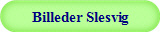 Billeder Slesvig